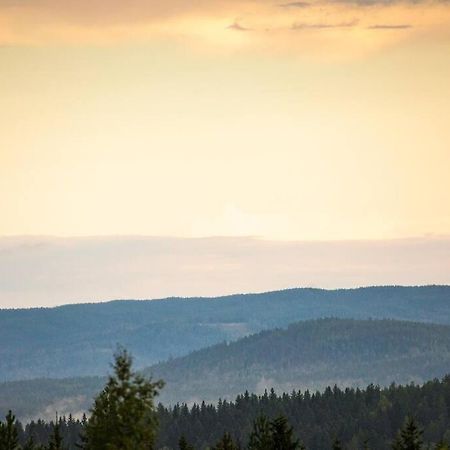 Langroesta; Ruime Blokhut Grenzend Aan Bos Villa Hagfors Dış mekan fotoğraf