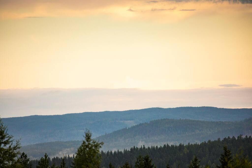Langroesta; Ruime Blokhut Grenzend Aan Bos Villa Hagfors Dış mekan fotoğraf