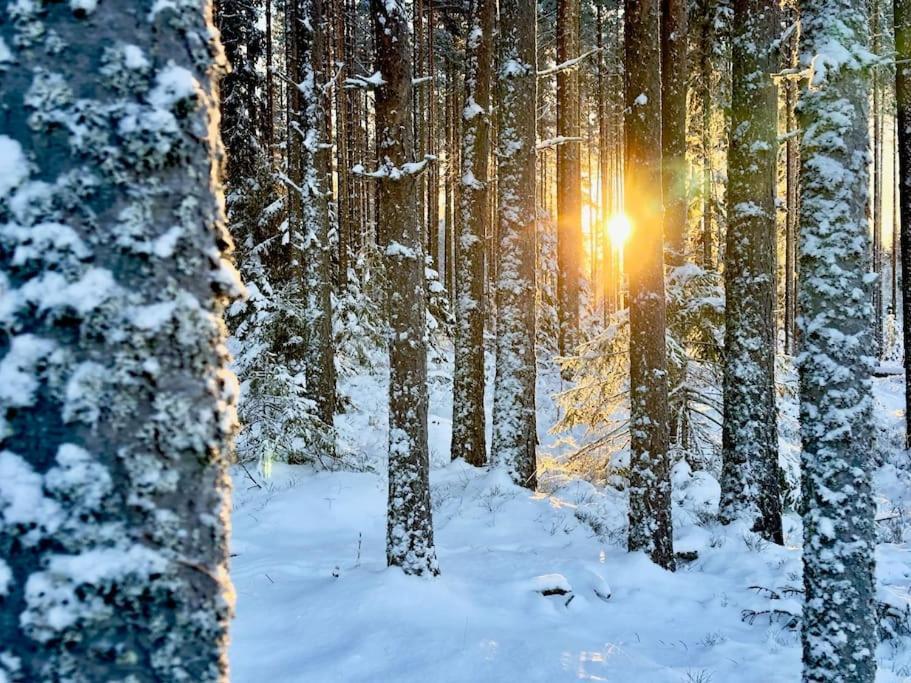Langroesta; Ruime Blokhut Grenzend Aan Bos Villa Hagfors Dış mekan fotoğraf